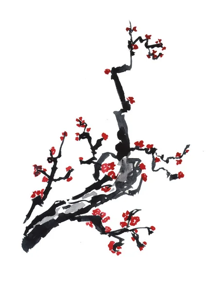 Cartão com flor ramo de cereja oriental em estilo tradicional japonês sumi-e — Fotografia de Stock