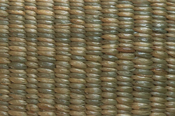 Tábua Madeira Bambu Fundo Textura Verde Parede Madeira Todos Móveis — Fotografia de Stock