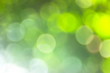 Soyut Yeşil Bokeh yumuşak arka plan bulanık doğa bulanık ışıkla parıldayan vintage tarzı sıcak pastel parti ve serin renkli ufuk daire soluk. Tatil kartı için parlak kopya alanı. 