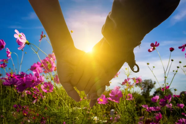 Junge Paarhände Zusammengehalten Mit Sonnenlicht Flackern Kosmos Blumen Auf Wiesengras — Stockfoto