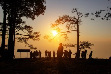 Soyut bulanıklık alanın üzerinde turuncu bokeh ışık sonbahar sahne sırasında altın saat sun rise arka plan seyir dağ ve ağaç genç fotoğrafçı, Vintage tarzı. Seyahat ve yaz tatil kavramı.