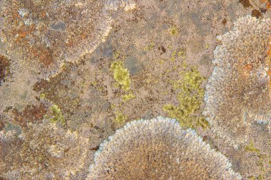 Doğal corrosio gelen kayalar üzerinde güzel desenler ve renkler