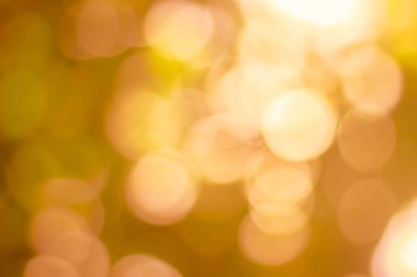 Arka planda bulanık noel ağacı ışıkları. Tasarım efekti, mutlu noel partisine odaklan. Parlak desenli beyaz duvar kağıdı. Güneşli, güneşli yıldız..