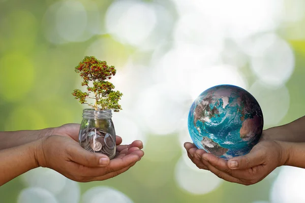 Světový den životního prostředí s výsadbou stromů a zelenou zeminou. — Stock fotografie
