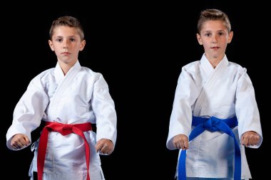 iki erkek karate kata egzersizleri, test yeterlilik eğitimi