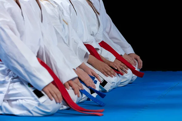 Giovani, belli, di successo multi etici karate bambini in posizione di karate . — Foto Stock