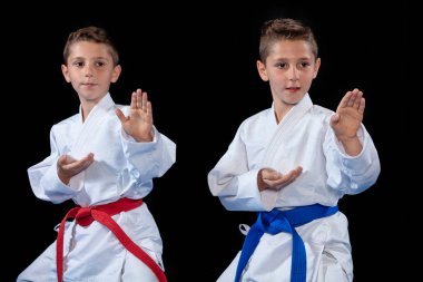 iki erkek karate kata egzersizleri, test yeterlilik eğitimi