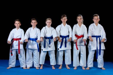 genç, güzel, başarılı çok etik karate çocuklar karate pozisyonda.