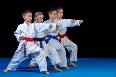 genç, güzel, başarılı çok etik karate çocuklar karate pozisyonda.