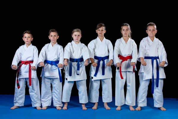 Young, beautiful, successful multi ethical karate kids in karate position. — Stock Photo, Image