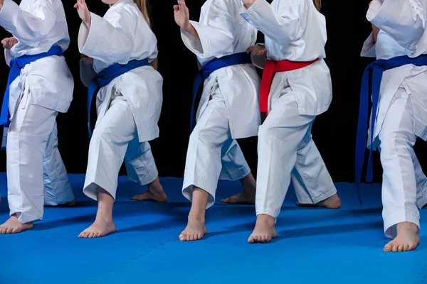 Giovani, belli, di successo multi etici karate bambini in posizione di karate . — Foto Stock