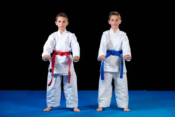 Dos niños entrenando ejercicios de kata de karate en la calificación de prueba —  Fotos de Stock