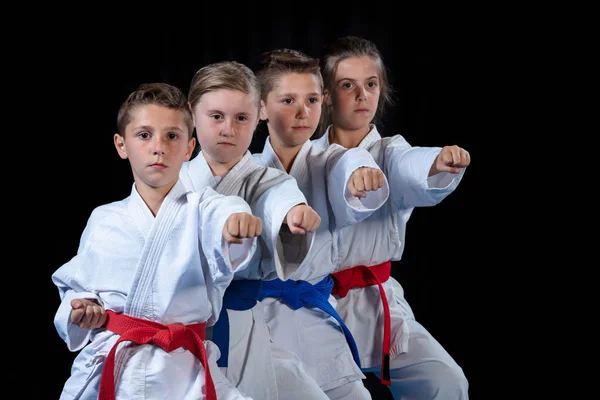 Giovani, belli, di successo multi etici karate bambini in posizione di karate . — Foto Stock