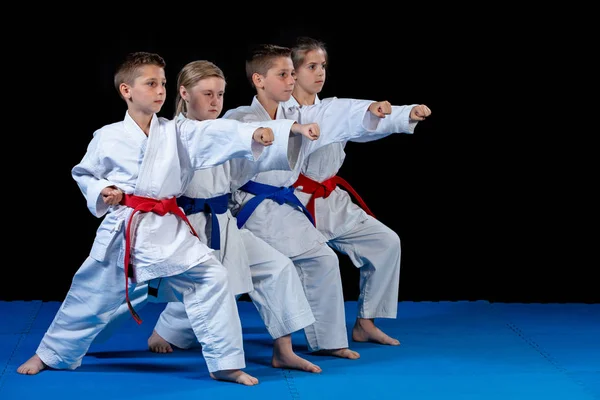 Junge, schöne, erfolgreiche multiethische Karate-Kids in Karate-Position. — Stockfoto