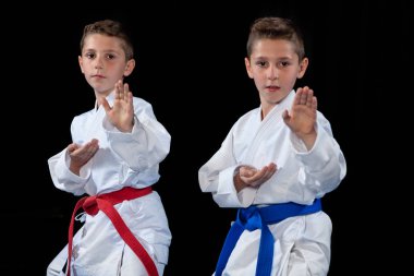 iki erkek karate kata egzersizleri, test yeterlilik eğitimi