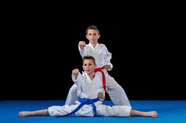 iki erkek karate kata egzersizleri, test yeterlilik eğitimi