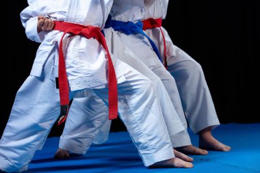 genç, güzel, başarılı çok etik karate çocuklar karate pozisyonda.