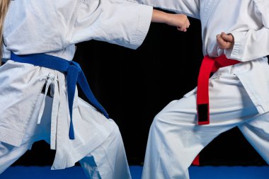 Karate dövüş sanatları iki küçük kız dövüş sanatları birlikte çalışma göstermek.