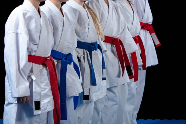 Giovani, belli, di successo multi etici karate bambini in posizione di karate . — Foto Stock