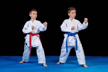 iki erkek karate kata egzersizleri, test yeterlilik eğitimi