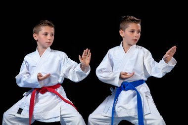 iki erkek karate kata egzersizleri, test yeterlilik eğitimi