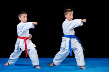 iki erkek karate kata egzersizleri, test yeterlilik eğitimi