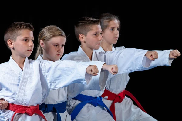 Unga, vackra, framgångsrika multi etiska karate kids i karate position. — Stockfoto