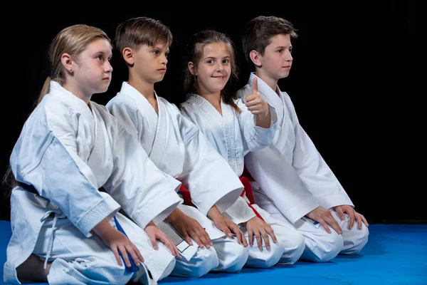 Młodzi, piękni, udane multi etyczne karate dzieci w karate pozycji. — Zdjęcie stockowe