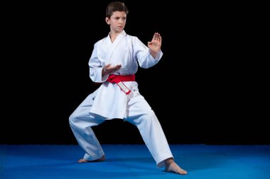 Kırmızı kemer ile bir beyaz karate kimono giymiş genç çocuk.