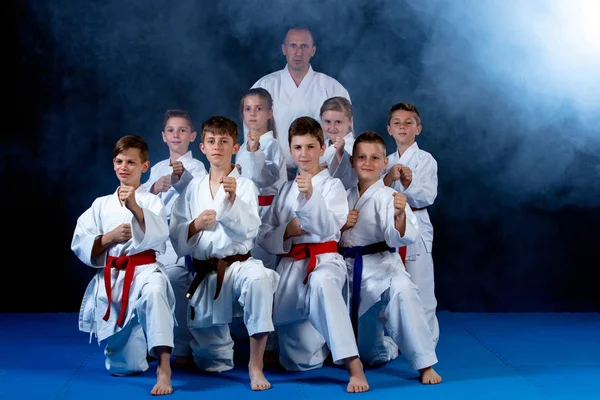 Giovani, belli, di successo multi etici karate bambini in posizione di karate . — Foto Stock