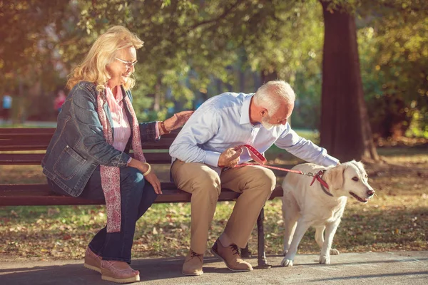 Köpek zevk ile mutlu üst düzey çift açık havada — Stok fotoğraf