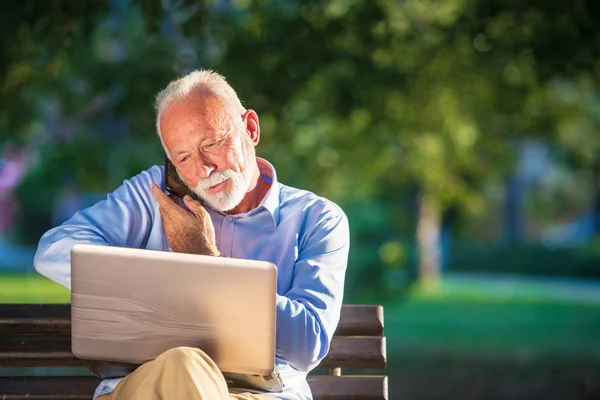 Business correspondence. Focused mature businessman using laptop while sitting in park