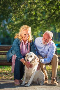 Köpek zevk ile mutlu üst düzey çift açık havada