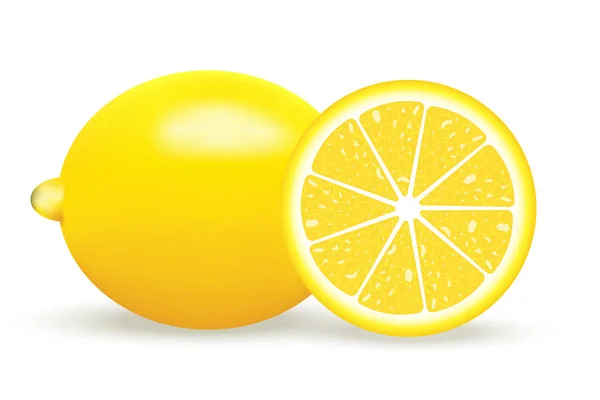 Vector Illustration Fresh Lemon Isolated White Background — Stock Vector