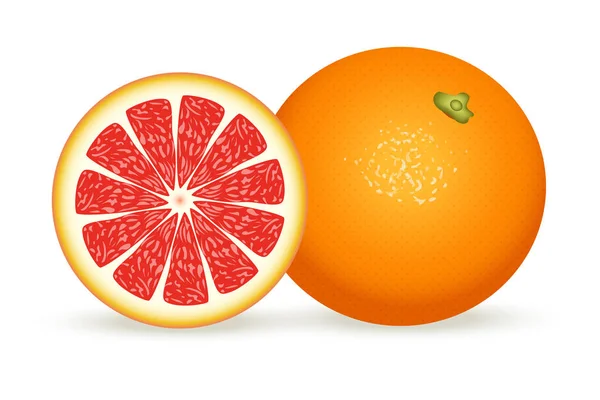 Frische Grapefruit in realistischem Stil. Vektor-Illustration isoliert auf weißem Hintergrund. — Stockvektor