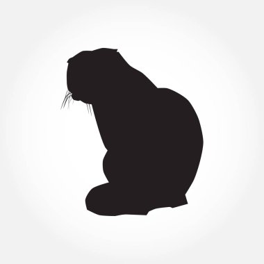Beyaz vektör çiziminde kedi siyah silueti