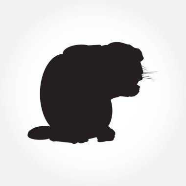 Beyaz vektör çiziminde kedi siyah silueti