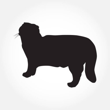 Beyaz vektör çiziminde kedi siyah silueti