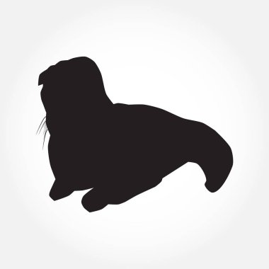 Beyaz vektör çiziminde kedi siyah silueti