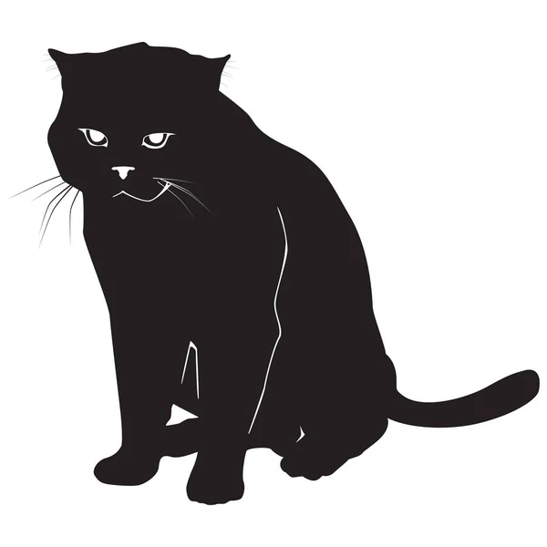 白いベクトルのイラストの猫の黒いシルエット — ストックベクタ