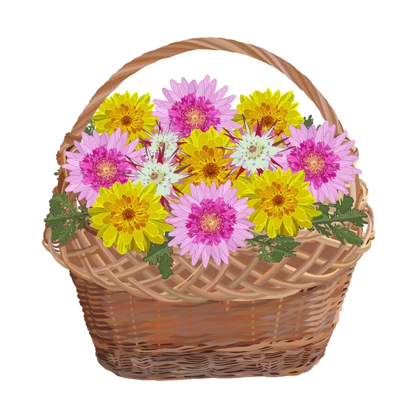 Wicker basket with chrysanthemum flowers, vector isolated illustration — Stock Vector