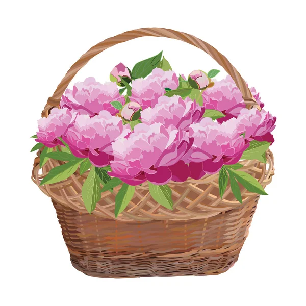 Wiklinowy kosz z kwiatami piwonii, wektor ilustracja na białym tle — Wektor stockowy