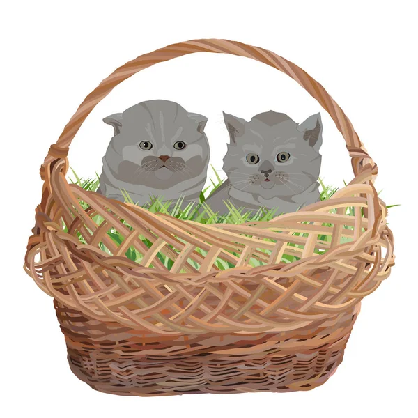 Zwei niedliche Kätzchen sitzen in Weidenkorb Vektor flache Abbildung — Stockvektor