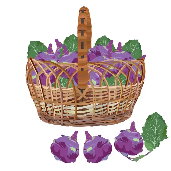 Wicker basket full of fresh kohlrabi, vector illustration — Stock Illustration Wicker basket full of fresh kohlrabi, vector illustration Royalty Free Stock Vectors