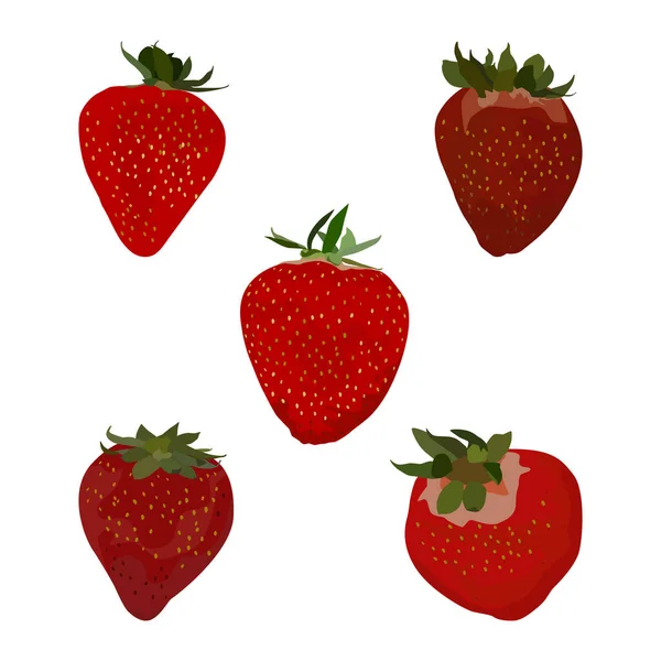 Conjunto de fresas frescas maduras, ilustración aislada plana vectorial — Vector de stock