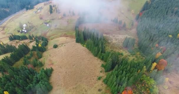 Carpathians Mountains Höst Ukraina Bukovel — Stockvideo