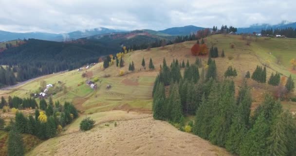 Karpaten Berge Herbst Der Ukraine Bukovel — Stockvideo