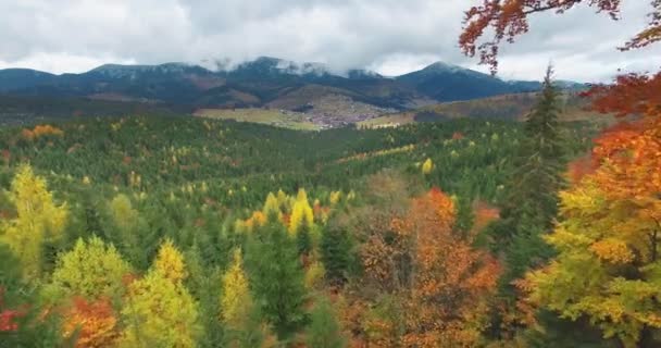 Karpaty Góry Jesień Ukrainie Bukowel — Wideo stockowe