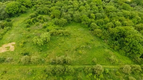 Aérea Jardín Verano Ucrania — Vídeo de stock