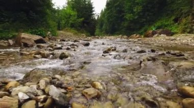 Beyaz nergis alanı ile güzel panorama.